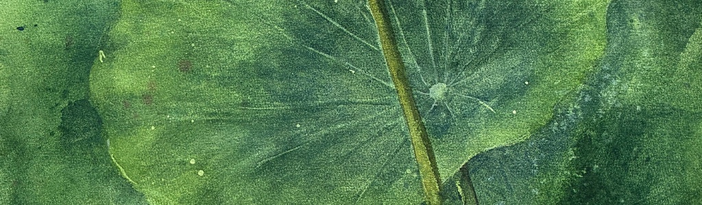 Watercolour of a lotus leaf in deep greens
