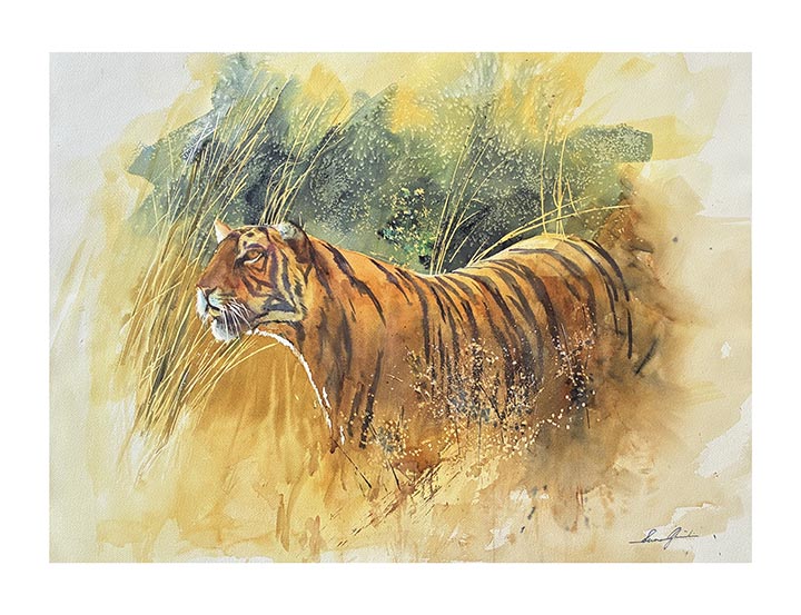 Striped Silence III — In the Grass, watercolour by Suman Ghosh